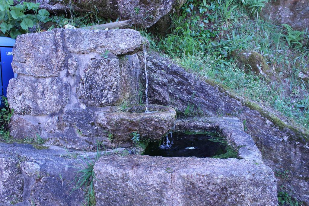Casa Das Bonecas Vieira do Minho Kültér fotó